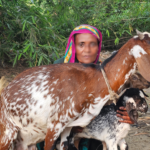 সাফল্যের গল্প